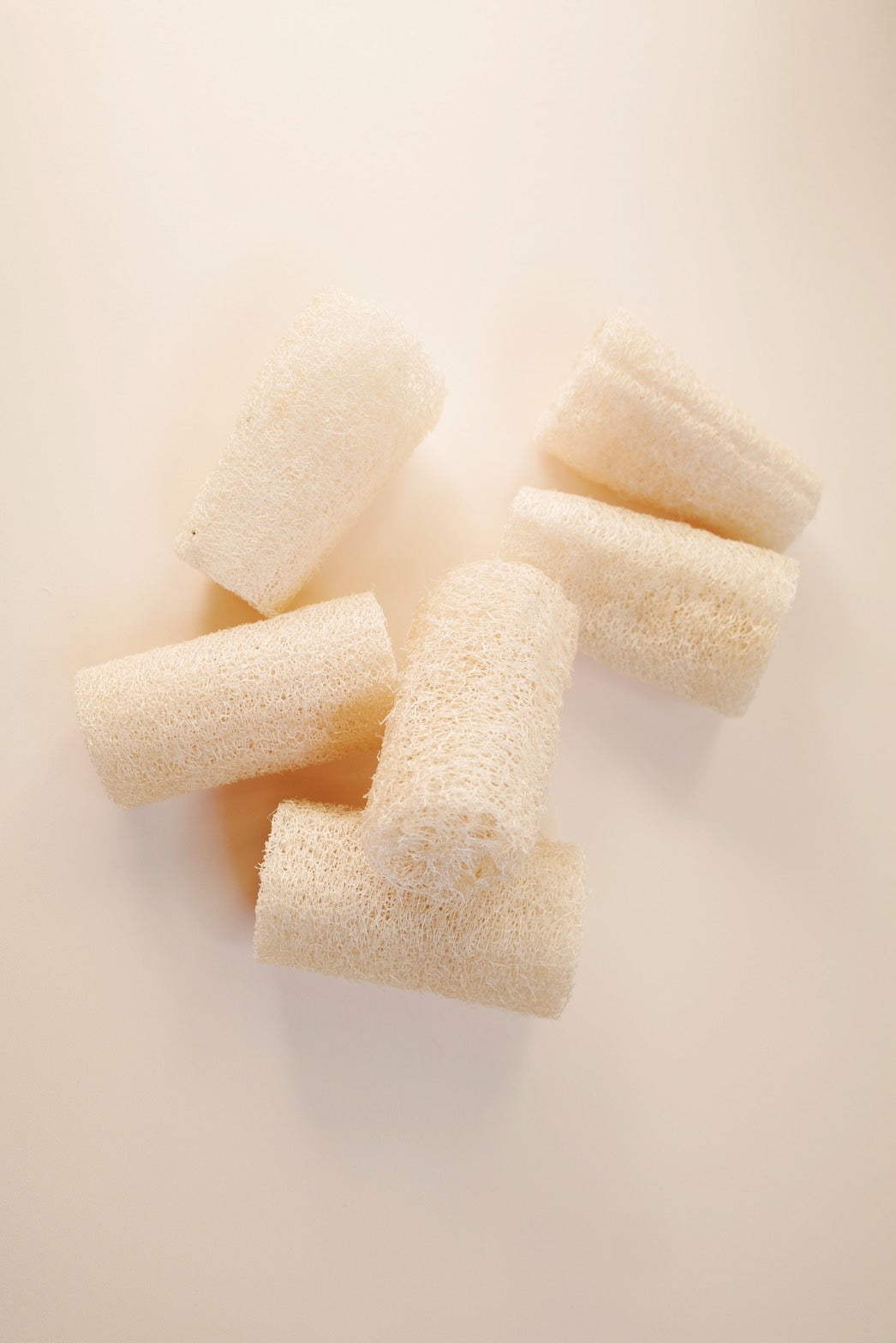 無農薬 国産へちまたわし